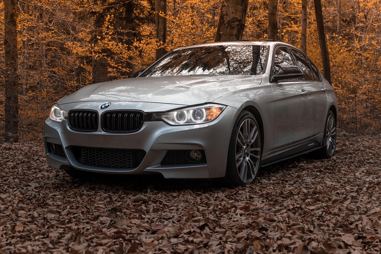 Srebrne BMW zaparkowane w jesiennym lesie